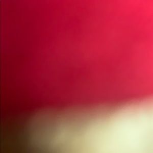 Retro 19s XIX 1985, 2008 Air Jordan’s size9